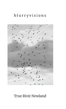 Pasted Graphic